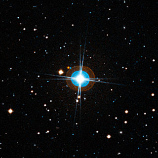 estrela1