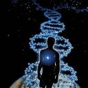DNA, Mudanças Corporais e Recomendações