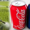 Pepsi e Coca Cola são usadas como pesticidas na Índia