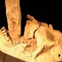 Crânio de possível vampiro do século XVI é descoberto