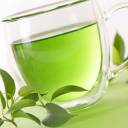 Como o chá verde consegue matar células cancerígenas sem danificar as saudáveis