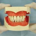 Falta de Cuidado com os Dentes pode Causar até Infartos e Tumores