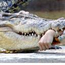 A batalha de Ramree: O banquete dos crocodilos