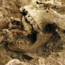 Ossadas de Bruxas com 800 anos são encontradas em cemitério