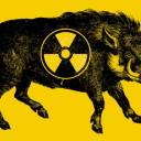 Fukushima e o ataque dos javalis radioativos