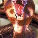Entre Deuses e Demônios: O Simbolismo Profundo da Cobra