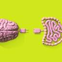 Cérebro e Intestino: descubra a conexão