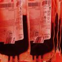 Ambrosia volta a vender transfusões de sangue de jovens