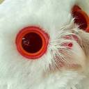 A coruja albina de olhos vermelhos