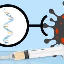 Vacinas baseadas em RNA COVID-19 e o risco de doença do príon