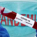 Covid-19 “é a maior fraude de saúde do século 21”