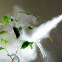 11 Fertilizantes e Pesticidas Orgânicos Feitos em Casa