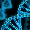 Adicionar novas letras ao alfabeto de DNA duplica a densidade de armazenamento de dados