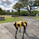 Cães policiais robóticos: cães úteis ou máquinas desumanizadoras?