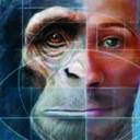 Híbrido homem-macaco desperta medo de criaturas ‘Frankenstein’