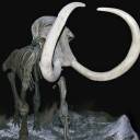Você (talvez) vai precisar de uma patente para esse mamute lanoso