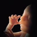 Está sendo chamado de lei da 'Liberdade de Matar': NJ Bill permite que não-médicos abortem bebês até o nascimento