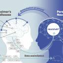 Neurotwin, tecnologia de cérebro gêmeo digital para tratar doenças neurológicas
