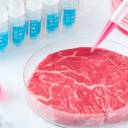 O investidor de carne sintética Bill Gates pede que os países ricos mudem inteiramente para a carne sintética