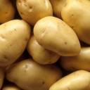Cientistas inserem gene humano em batatas e o resultado é surpreendente