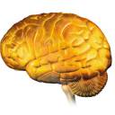 Nanopartículas de ouro: controle do cérebro