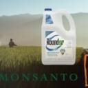 Júri americano ordena que Monsanto pague US$ 2 bilhões a casal por efeito cancerígeno do glifosato
