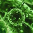 Gripe A(H1N1): OMS e laboratórios farmacêuticos de alarmismo