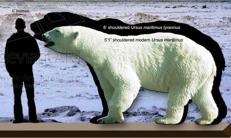 Urso Polar: O Gigante do Ártico e Maior Carnívoro da Terra