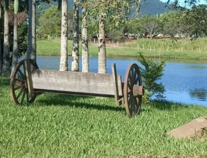 Poesia magica campo
