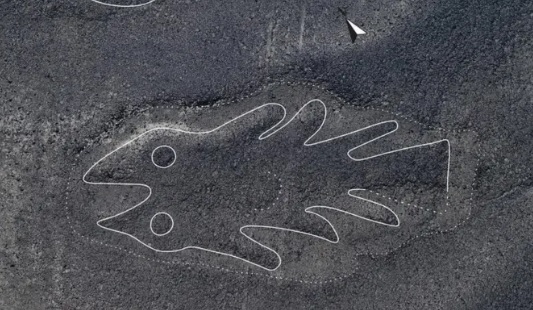 nazga imagem peixe