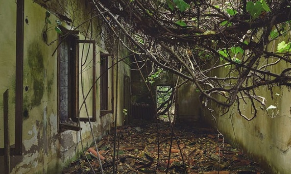 poveglia dentro