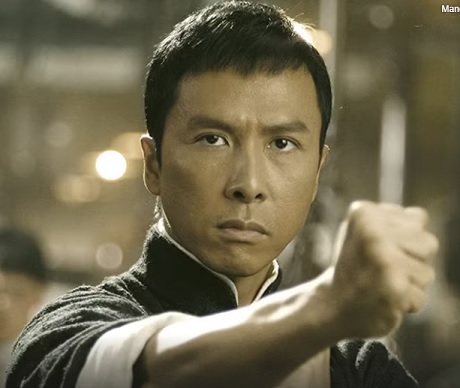 Artistas marciais Donnie Yen