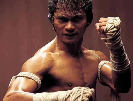 Artistas marciais Tony Jaa