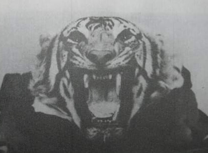 tigresa topo