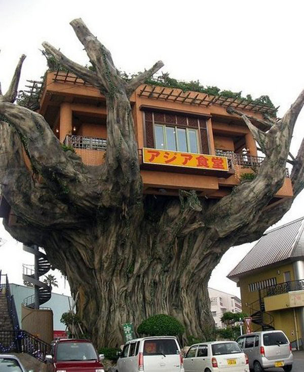 O restaurante na árvore